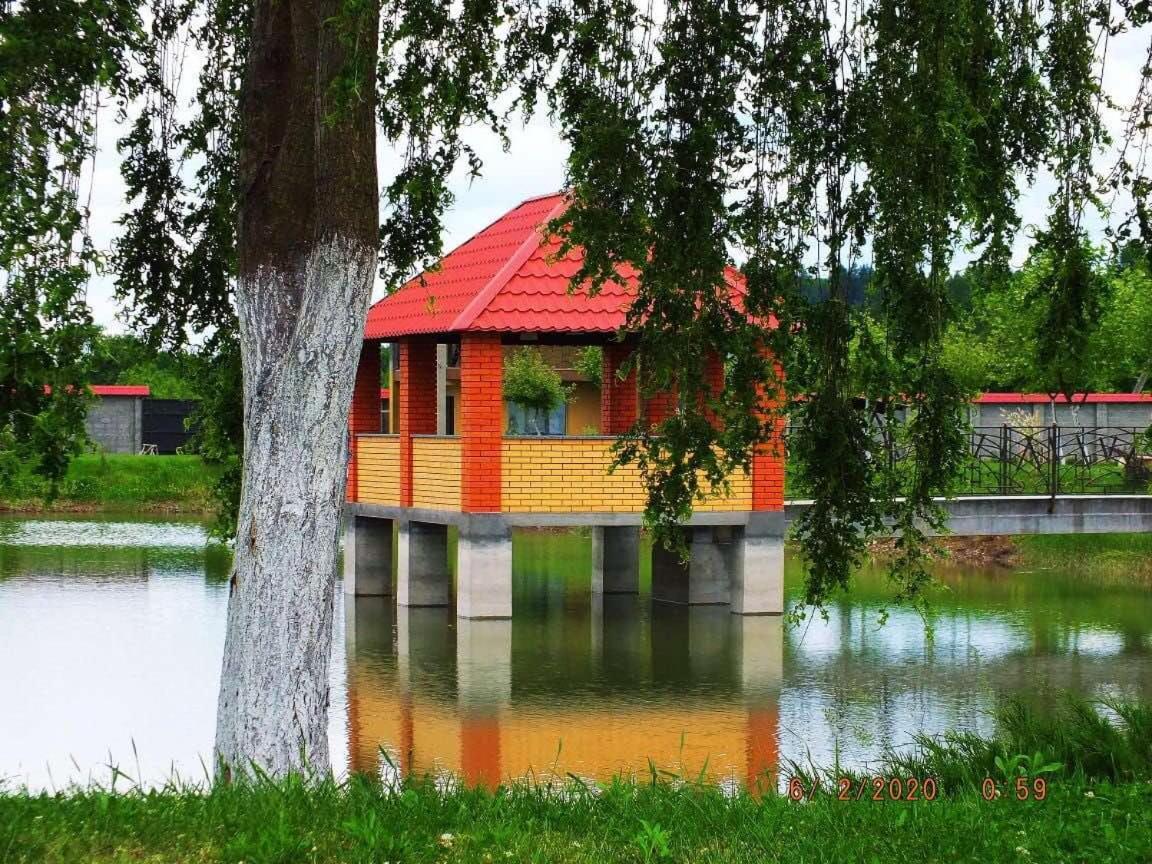Illara Spa Hotel Irshava Екстериор снимка