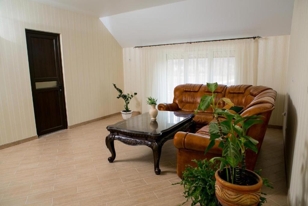 Illara Spa Hotel Irshava Екстериор снимка