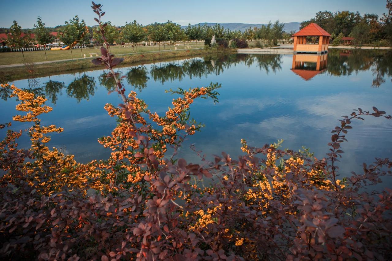 Illara Spa Hotel Irshava Екстериор снимка