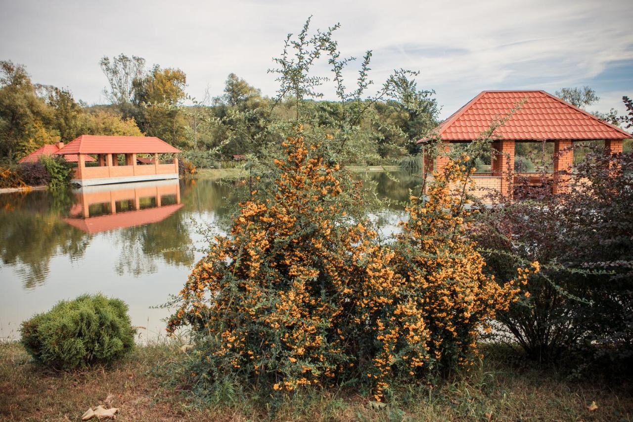 Illara Spa Hotel Irshava Екстериор снимка