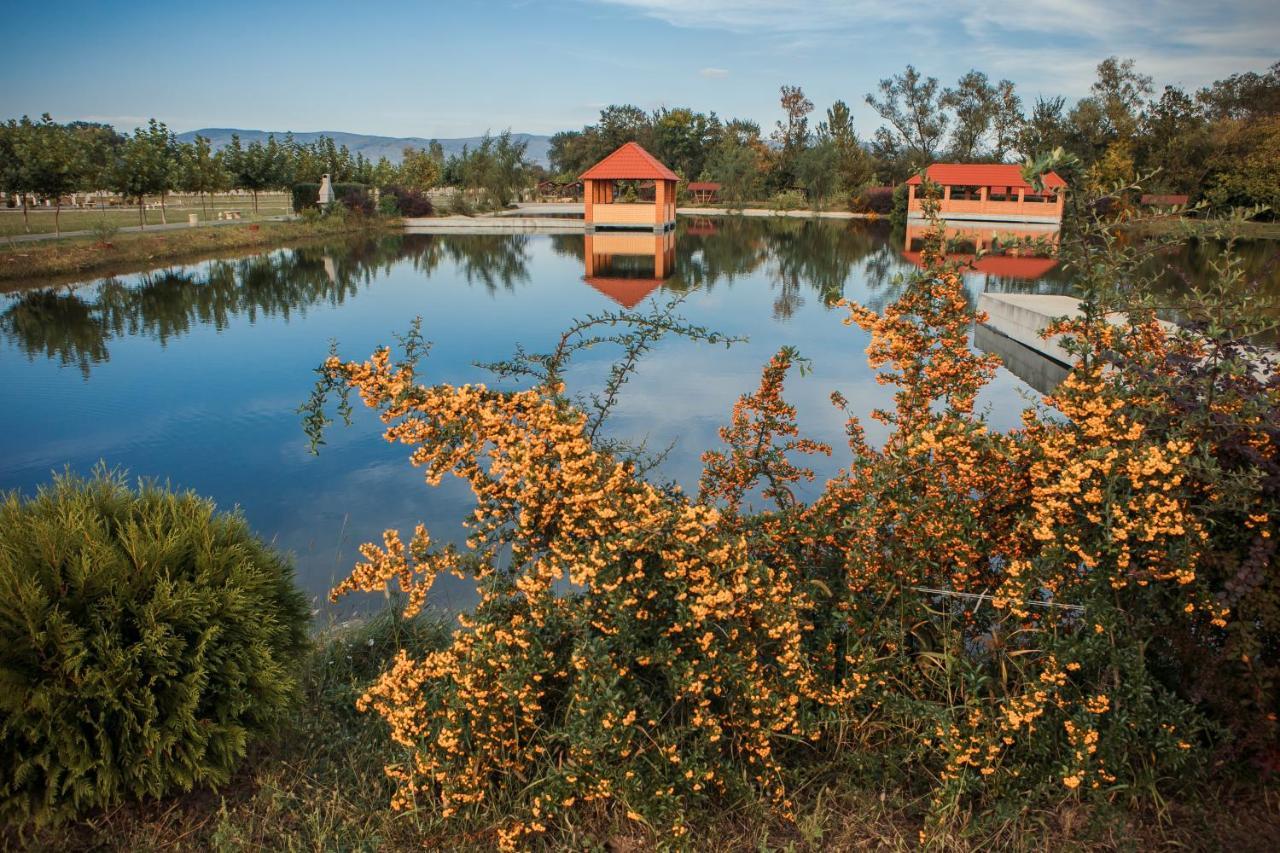 Illara Spa Hotel Irshava Екстериор снимка